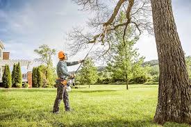 Best Hazardous Tree Removal  in Mill Plain, CT